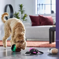 Frisco Halloween Cupcakes Plush Squeaky Dog Toy -Frisco Shop 270367 PT3. AC SS1800 V1624817674