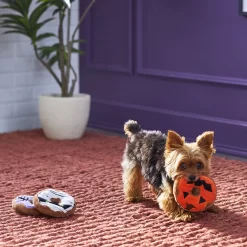 Frisco Halloween Donuts Plush Squeaky Dog Toy -Frisco Shop 270369 PT3. AC SS1800 V1624817409