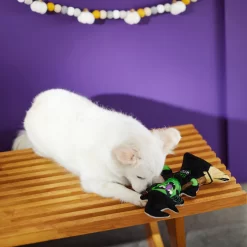 Frisco Halloween Good Witch, Bad Witch Reversible Plush Squeaky Dog Toy -Frisco Shop 270429 PT3. AC SS1800 V1624817643