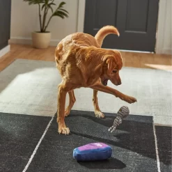 Frisco Halloween Mummy & Coffin Plush Squeaky Dog Toy 7 Frisco Halloween Mummy & Coffin Plush Squeaky Dog Toy -Frisco Shop 270437 PT3. AC SS1800 V1624817278