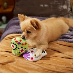 Frisco Halloween Day Of The Dead Sugar Skull Plush Squeaky Dog Toy, 2 Count -Frisco Shop 270443 PT3. AC SS1800 V1624824826