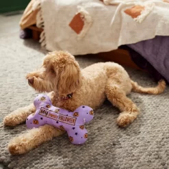 Frisco Halloween My First Halloween Bone Reversible Plush Squeaky Dog Toy -Frisco Shop 270452 PT3. AC SS1800 V1624817314