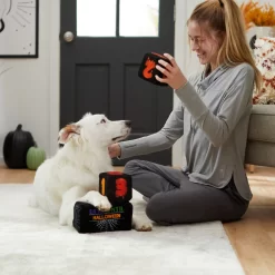 Frisco Halloween 30 Days Of Halloween Countdown Blocks Plush Squeaky Dog Toy -Frisco Shop 270494 PT3. AC SS1800 V1624817483