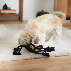 Frisco Halloween Spider Rope Dog Toy -Frisco Shop 270504 PT3. AC SS1800 V1624825021