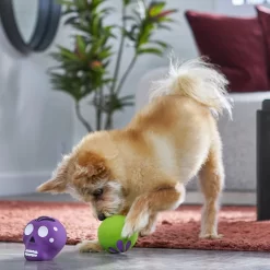 Frisco Halloween Sugar Skulls Latex Squeaky Dog Toy 6 Frisco Halloween Sugar Skulls Latex Squeaky Dog Toy -Frisco Shop 270518 PT3. AC SS1800 V1689878507