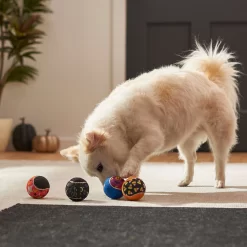 Frisco Halloween Glow In The Dark Fetch Squeaky Tennis Ball Dog Toy -Frisco Shop 270525 PT3. AC SS1800 V1624824980