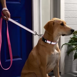 Frisco Solid Polyester Personalized Reflective Dog Leash -Frisco Shop 270686 PT4. AC SS1800 V1628030492