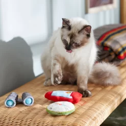 Frisco Camping Compass & Lantern Plush Cat Toy With Catnip, 2 Count 5 Frisco Camping Compass & Lantern Plush Cat Toy With Catnip, 2 Count -Frisco Shop 270985 PT3. AC SS1800 V1625009053