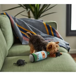 Frisco Camping Bug Spray Plush Squeaky Dog Toy, 3 Count 5 Frisco Camping Bug Spray Plush Squeaky Dog Toy, 3 Count -Frisco Shop 270989 PT3. AC SS1800 V1625009020