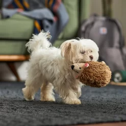 Frisco Camping Hedgehog Plush Squeaky Dog Toy -Frisco Shop 270995 PT3. AC SS1800 V1625009251