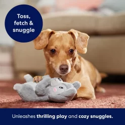 Frisco Camping Squirrel Plush Squeaky Dog Toy 10 Frisco Camping Squirrel Plush Squeaky Dog Toy -Frisco Shop 271001 PT5. AC SS1800 V1691785245