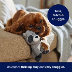 Frisco Camping Raccoon Plush Squeaky Dog Toy 10 Frisco Camping Raccoon Plush Squeaky Dog Toy -Frisco Shop 271003 PT4. AC SS1800 V1695670777