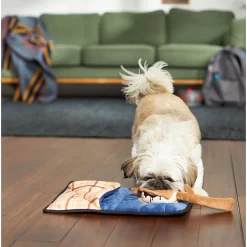 Frisco Camping Smores & Sleeping Bag Flat Plush Squeaky Dog Toy, 2 Count -Frisco Shop 271018 PT3. AC SS1800 V1625009010