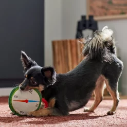 Frisco Camping Compass Plush With Rope Squeaky Dog Toy 5 Frisco Camping Compass Plush With Rope Squeaky Dog Toy -Frisco Shop 271020 PT3. AC SS1800 V1625008965