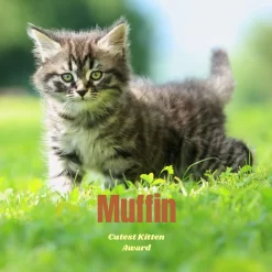 Frisco Personalized Basic Ceramic Photo Tile With Stand -Frisco Shop 271227 PT2. AC SS1800 V1619198223