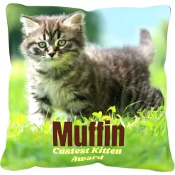 Frisco Personalized Basic Throw Pillow, 16" X 16" -Frisco Shop 271237 PT2. AC SS1800 V1620405726