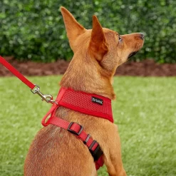 Frisco Small & Medium Breed Soft Mesh Personalized Back Clip Dog Harness -Frisco Shop 271252 PT6. AC SS1800 V1618938436
