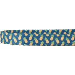 Frisco Pineapple Polyester Personalized Breakaway Cat Collar With Bell -Frisco Shop 271597 PT3. AC SS1800 V1618937222