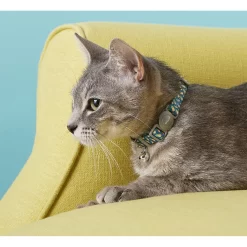 Frisco Pineapple Polyester Personalized Breakaway Cat Collar With Bell -Frisco Shop 271597 PT4. AC SS1800 V1618936919