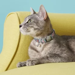 Frisco Rose Polyester Personalized Breakaway Cat Collar With Bell -Frisco Shop 271600 PT4. AC SS1800 V1618936952