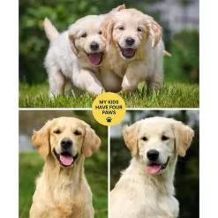 Frisco "Contemporary #1" 8 X 10 Gallery-Wrapped Canvas -Frisco Shop 272569 PT2. AC SS1800 V1625685737