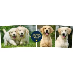 Frisco "Contemporary #1" Double Walled Tumbler. 30-oz 6 Frisco "Contemporary #1" Double Walled Tumbler. 30-oz -Frisco Shop 272573 PT2. AC SS1800 V1628110934