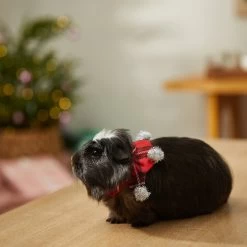 Frisco Red Plaid Guinea Pig Ruffle Collar With Pom Poms -Frisco Shop 276180 PT8. AC SS1800 V1631302812