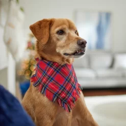 Frisco Red/Green Plaid Dog & Cat Flannel Bandana -Frisco Shop 276201 PT5. AC SS1800 V1637669261