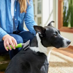 Frisco Soft Slicker Dog Brush, One Size & Frisco Deshedding Dog & Cat Brush 10 Frisco Soft Slicker Dog Brush, One Size & Frisco Deshedding Dog & Cat Brush -Frisco Shop 276229 PT3. AC SS1800 V1616194590