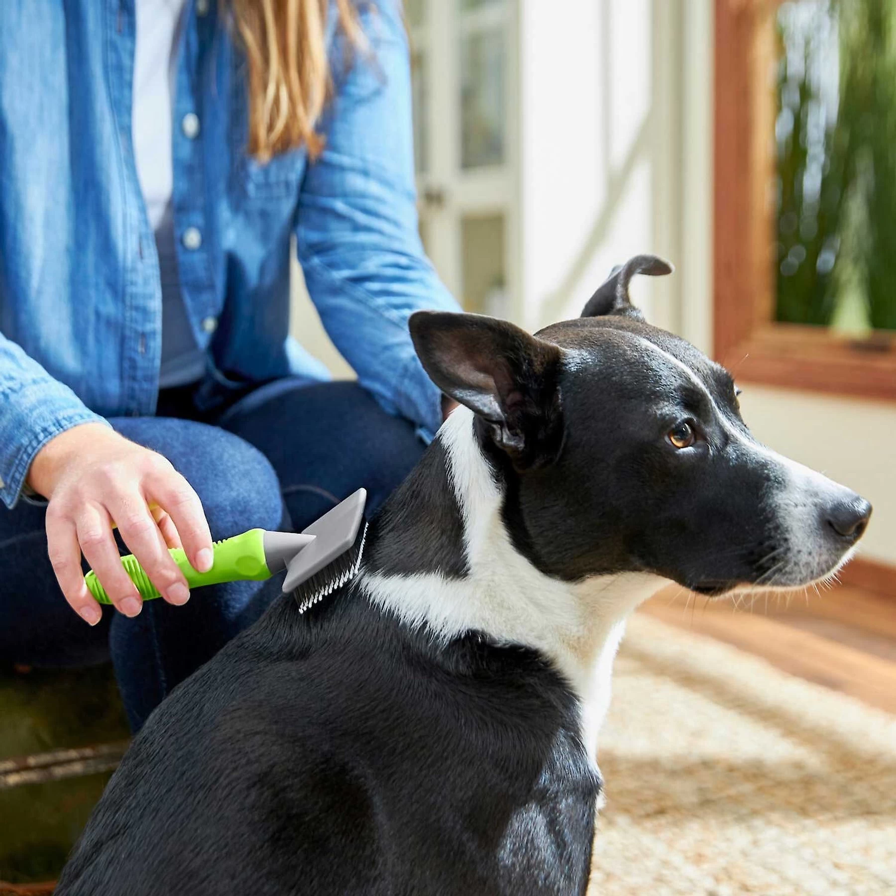 Frisco Soft Slicker Dog Brush, One Size & Frisco Deshedding Dog & Cat Brush 4 Frisco Soft Slicker Dog Brush, One Size & Frisco Deshedding Dog & Cat Brush - Image 4