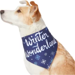 Frisco Winter Wonderland Dog & Cat Bandana -Frisco Shop 276279 PT3. AC SS1800 V1637688134