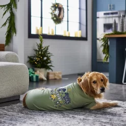 Frisco Joyful Hygge-Inspired Dog & Cat T-shirt -Frisco Shop 276488 PT5. AC SS1800 V1637666798