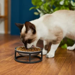 Frisco Elevated Stainless Steel Dish Cat Bowl, 1 Cup -Frisco Shop 277517 PT3. AC SS1800 V1630347977