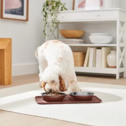 Frisco Silicone Stainless Steel Double Diner Dog & Cat Bowl, Brown -Frisco Shop 277551 PT2. AC SS1800 V1630346531