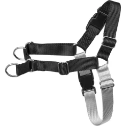 Frisco Basic No Pull Harness