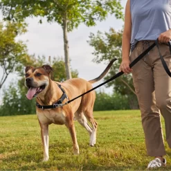 Frisco Basic No Pull Harness 9 Frisco Basic No Pull Harness -Frisco Shop 277873 PT4. AC SS1800 V1629816999