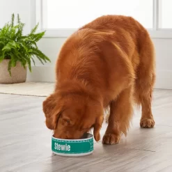 Frisco General Pet Ceramic Personalized Dog & Cat Bowl -Frisco Shop 278922 PT3. AC SS1800 V1629147409