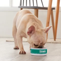 Frisco Personalized General Dog & Cat Small Dog Bowl 7 Frisco Personalized General Dog & Cat Small Dog Bowl -Frisco Shop 278924 PT3. AC SS1800 V1629147374