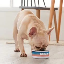 Frisco Personalized Watercolor Small Dog & Cat Bowl -Frisco Shop 278944 PT3. AC SS1800 V1629147733