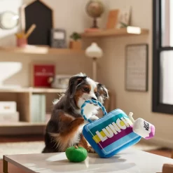 Frisco Back To School Lunchbox With Juice & Apple Plush With Rope Squeaky Dog Toy -Frisco Shop 279427 PT3. AC SS1800 V1628191372