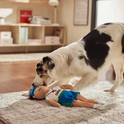 Frisco Gym Teacher Plush Squeaky Dog Toy 5 Frisco Gym Teacher Plush Squeaky Dog Toy -Frisco Shop 279447 PT3. AC SS1800 V1628191161