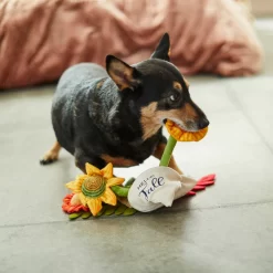Frisco Fall Bouquet Of Flowers Plush Squeaky Dog Toy -Frisco Shop 285599 PT3. AC SS1800 V1629725293
