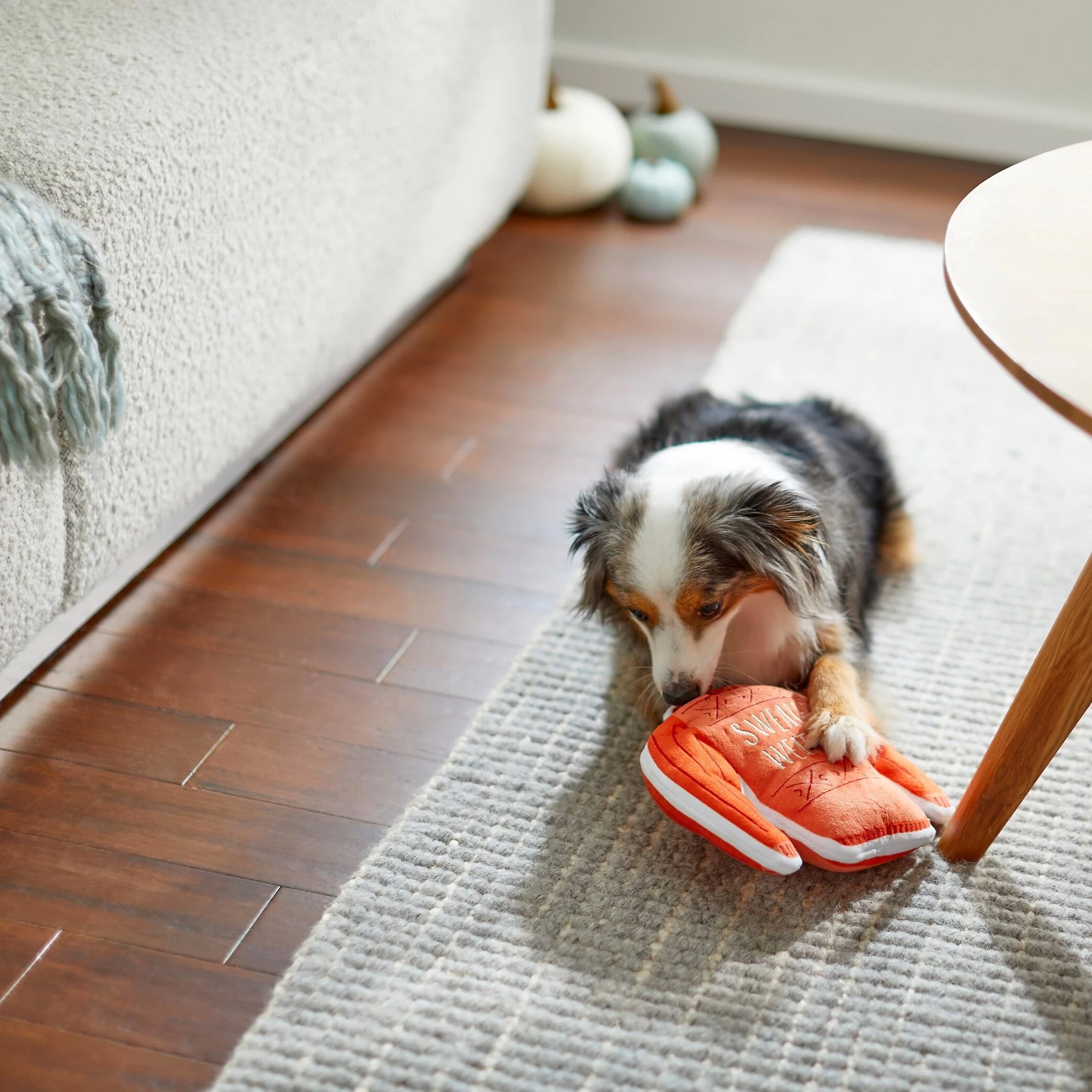 Frisco Fall Sweater Weather Flat Plush Squeaky Dog Toy 3 Frisco Fall Sweater Weather Flat Plush Squeaky Dog Toy - Image 3