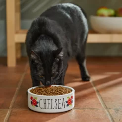 Frisco Flower Ceramic Personalized Dog Bowl -Frisco Shop 286985 PT3. AC SS1800 V1625764702