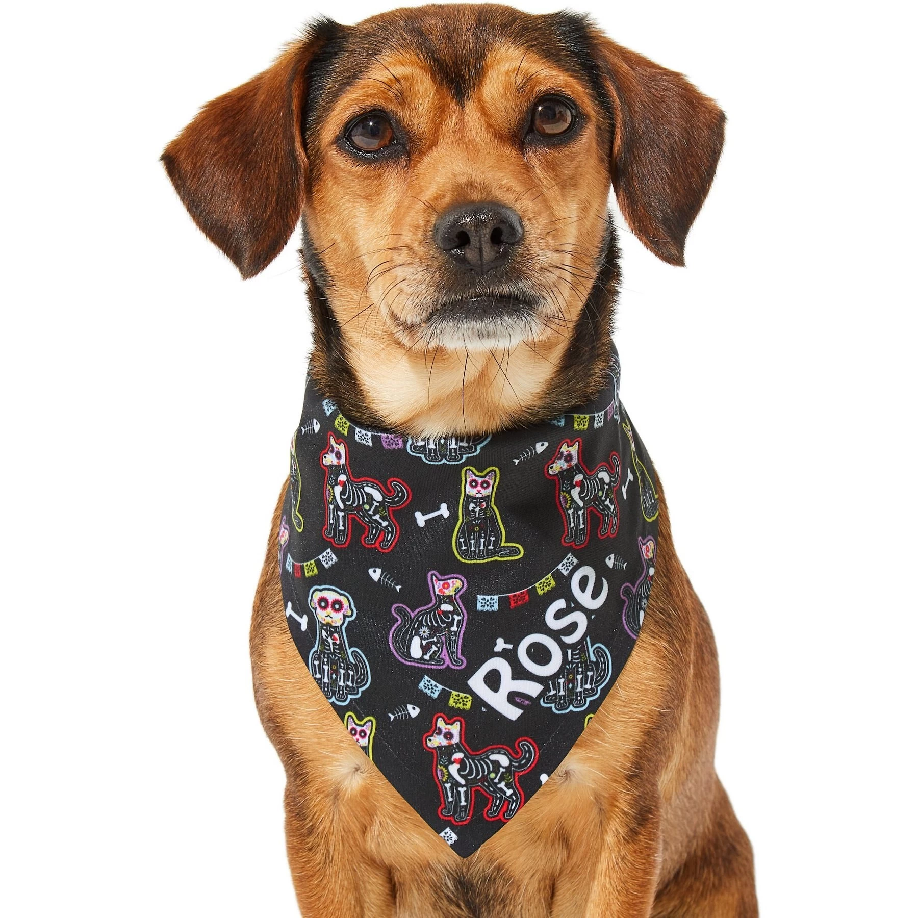 Frisco Dia De Los Muertos Personalized Dog & Cat Bandana 7 Frisco Dia De Los Muertos Personalized Dog & Cat Bandana - Image 7