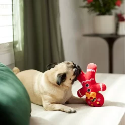 Frisco Holiday Naughty Or Nice Gingerbread Man Reversible Plush Squeaky Dog Toy -Frisco Shop 287217 PT3. AC SS1800 V1632775304