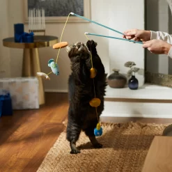 Frisco Holiday Hanukkah Teaser Cat Toy With Catnip, 2 Count 7 Frisco Holiday Hanukkah Teaser Cat Toy With Catnip, 2 Count -Frisco Shop 287277 PT3. AC SS1800 V1632771712