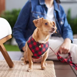 Frisco Fashion Over-The-Head Harness, Blue Plaid -Frisco Shop 287472 PT8. AC SS1800 V1632316407