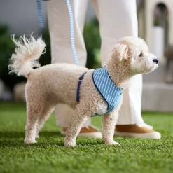 Frisco Fashion Over-The-Head Harness, Striped 9 Frisco Fashion Over-The-Head Harness, Striped -Frisco Shop 287479 PT8. AC SS1800 V1632315513