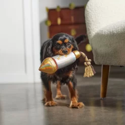 Frisco Firework Plush With Rope Squeaky Dog Toy -Frisco Shop 288480 PT3. AC SS1800 V1638291301